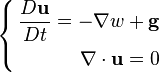 \left\{ \begin{align} 
{D\bold u \over Dt} = - \nabla w +\bold{g} \\
\nabla\cdot \bold u=0
\end{align}\right.