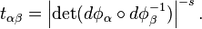 t_{\alpha\beta} = \left|\det (d\phi_\alpha\circ d\phi_\beta^{-1})\right|^{-s}.