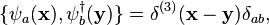 \{\psi_a(\mathbf{x}),\psi_b^{\dagger}(\mathbf{y})\} = \delta^{(3)}(\mathbf{x}-\mathbf{y})\delta_{ab},