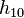 h_{10}