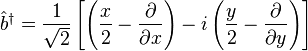 \hat{b}^{\dagger} = \frac{1}{\sqrt{2}} \left[\left(\frac{x}{2} - \frac{\partial}{\partial x}\right) -i \left(\frac{y}{2} - \frac{\partial}{\partial y}\right)\right]