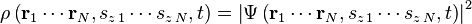 \rho\left(\mathbf{r}_1 \cdots \mathbf{r}_N,s_{z\,1}\cdots s_{z\,N},t \right ) =  \left | \Psi\left (\mathbf{r}_1 \cdots \mathbf{r}_N,s_{z\,1}\cdots s_{z\,N},t \right ) \right |^2