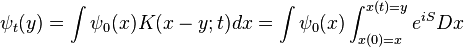 
\psi_t(y) = \int \psi_0(x) K(x-y;t) dx = \int \psi_0(x) \int_{x(0)=x}^{x(t)=y} e^{iS} Dx
\,