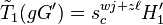 \tilde{T}_1(gG^\prime)=s_c^{wj+z\ell}H_1^\prime