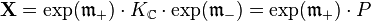 \mathbf{X}=\exp (\mathfrak{m}_+)\cdot K_{\mathbb{C}} \cdot \exp(\mathfrak{m}_-)=\exp (\mathfrak{m}_+)\cdot P