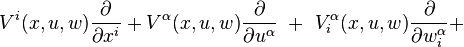 V^{i}(x,u,w) \frac{\partial}{\partial x^{i}} + V^{\alpha}(x,u,w) \frac{\partial}{\partial u^{\alpha}} \ + \ V^{\alpha}_{i}(x,u,w) \frac{\partial}{\partial w^{\alpha}_{i}} +\,