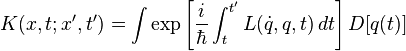 K(x,t;x',t') = \int \exp \left[\frac{i}{\hbar} \int_t^{t'} L(\dot{q},q,t) \, dt\right] D[q(t)]