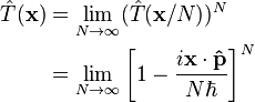 \begin{align}\hat T(\mathbf x) &=\lim_{N \to \infty} (\hat T(\mathbf{x}/N))^N \\
& = \lim_{N \rightarrow \infty} \left[1-\frac{i\mathbf{x}\cdot\mathbf\hat{p}}{N\hbar}\right]^N\end{align}