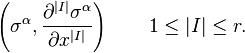  \left(\sigma^{\alpha}, \frac{\partial^{|I|} \sigma^{\alpha}}{\partial x^{|I|}}\right) \qquad 1 \leq |I| \leq r. \,