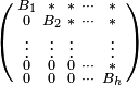  \left( \begin{smallmatrix}
B_1 & * & * & \cdots & * \\
0 & B_2 & * & \cdots & * \\
\vdots & \vdots & \vdots & & \vdots \\
0 & 0 & 0 & \cdots & * \\
0 & 0 & 0 & \cdots & B_h
\end{smallmatrix}
\right)