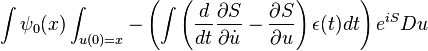 
\int \psi_0(x) \int_{u(0)=x} -\left( \int \left({d\over dt} {\partial S\over \partial \dot{u}} - {\partial S \over \partial u}\right)\epsilon(t) dt \right) e^{iS} Du
\,