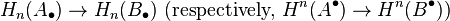 H_n(A_\bullet) \to H_n(B_\bullet)\ (\text{respectively, } H^n(A^\bullet) \to H^n(B^\bullet))\ 