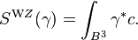 S^{\mathrm WZ}(\gamma) = \int_{B^3} \gamma^{*} c.