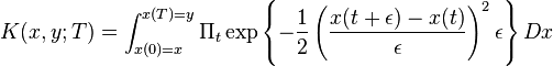 
K(x,y;T) = \int_{x(0)=x}^{x(T)=y} \Pi_t \exp\left\{-{1\over 2} \left({x(t+\epsilon) -x(t) \over \epsilon}\right)^2 \epsilon \right\} Dx
\,