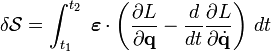 \delta \mathcal{S} = \int_{t_1}^{t_2}\; \boldsymbol\varepsilon \cdot\left(\frac{\partial L}{\partial \mathbf{q}} - \frac{d}{dt} \frac{\partial L}{\partial \dot{\mathbf{q}}} \right)\,dt