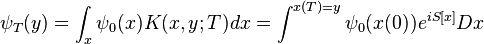 
\psi_T(y) = \int_{x} \psi_0(x) K(x,y;T) dx = \int^{x(T)=y} \psi_0(x(0)) e^{i S[x]} Dx
\,