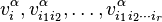 v^{\alpha}_{i}, v^{\alpha}_{i_{1}i_{2}},\ldots,v^{\alpha}_{i_{1}i_{2} \cdots i_{r}}\,