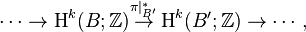 \cdots \to \operatorname{H}^k(B; \mathbb{Z}) \overset{\pi|_{B'}^*} \to \operatorname{H}^k(B'; \mathbb{Z}) \to \cdots,