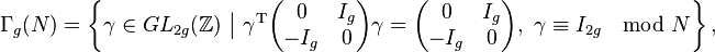 \Gamma_g(N)=\left\{ \gamma \in GL_{2g}(\mathbb{Z}) \ \big| \ \gamma^{\mathrm{T}} \begin{pmatrix} 0 & I_g \\ -I_g & 0 \end{pmatrix} \gamma= \begin{pmatrix} 0 & I_g \\ -I_g & 0 \end{pmatrix} , \ \gamma \equiv I_{2g}\mod N\right\},