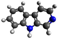 The prototype of a class of compounds known as  β-carbolines