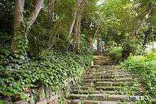 Dilapidated stone steps, with vegetation and trees