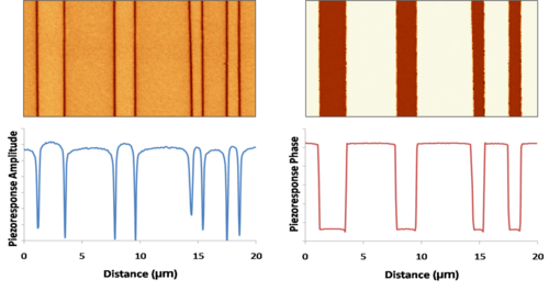 180° ferroelectric domains as imaged by PFM