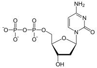 Skeletal formula of deoxycytidine diphosphate as an anion (3- charge)