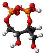 Ball-and-stick model of the 2-C-methyl-D-erythritol-2,4-cyclodiphosphate molecule