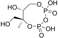 Skeletal formula of 2-C-methyl-D-erythritol-2,4-cyclodiphosphate