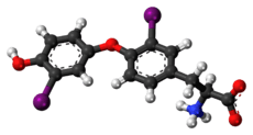 Ball-and-stick model of the 3,3'-diiodothyronine molecule as a zwitterion