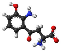 Ball-and-stick model of the 3-hydroxykynurenine molecule as a zwitterion