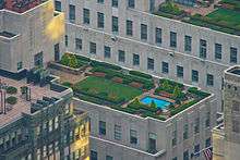 Flat rooftop with greenery and a small rectangular pool