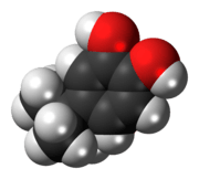 Space-filling model of the 4-tert-butylcatechol molecule