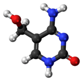 Ball-and-stick model of the 5-hydroxymethylcytosine molecule