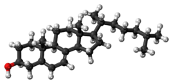 Ball-and-stick model of 7-dehydrocholesterol