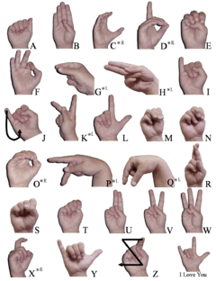 chart of letters in the American manual alphabet, with Latin script equivalents