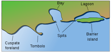 Coastal and oceanic landforms