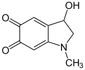 Structural formula of adrenochrome