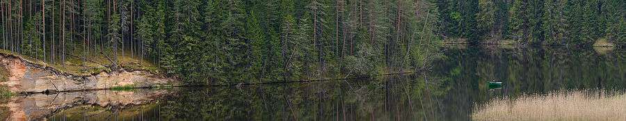 Ahja River, forest landscape, on the left side of the image on the riverbank there is outcrop of Devonian sandstone.