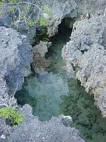 Aldabra atoll