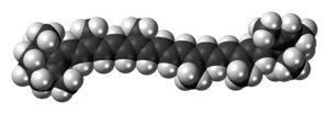 Space-filling model