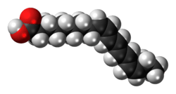 Space-filling model of the α-parinaric acid molecule