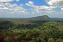 Densely wooded mountain landscape.