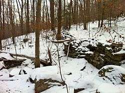 Forest with foundation stones in winter