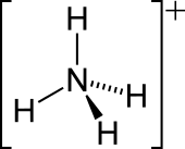 2-D skeletal version of the ammonium ion