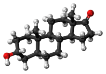 Ball-and-stick model of the androsterone molecule