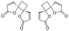 Skeletal formula of anemonin