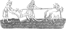 A crude medieval line drawing, showing a man with a team of two oxen ploughing a field, assisted by a woman. Both the man and woman are dressed in long medieval cloths.