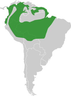 Northern South America, excluding the Andes mountains and the Brazil/Venezuela border