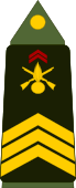 insignia with three chevrons